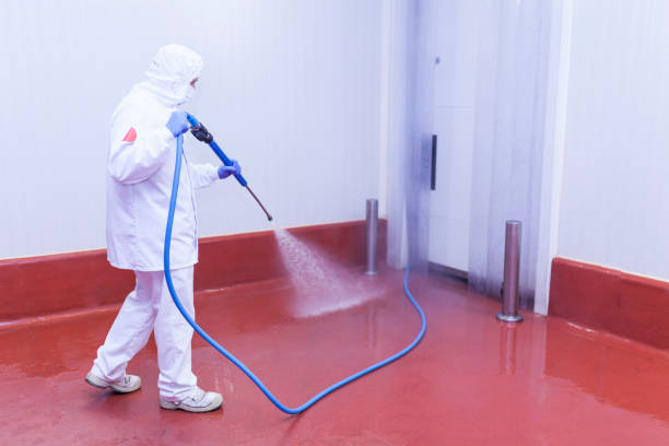 Best Dumpster Area Cleaning  in Westwood, NJ