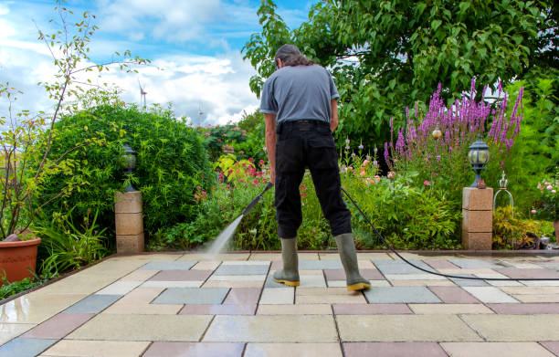 Best Roof Washing  in Westwood, NJ